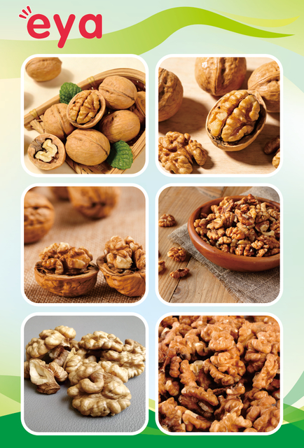 Walnut Kernels