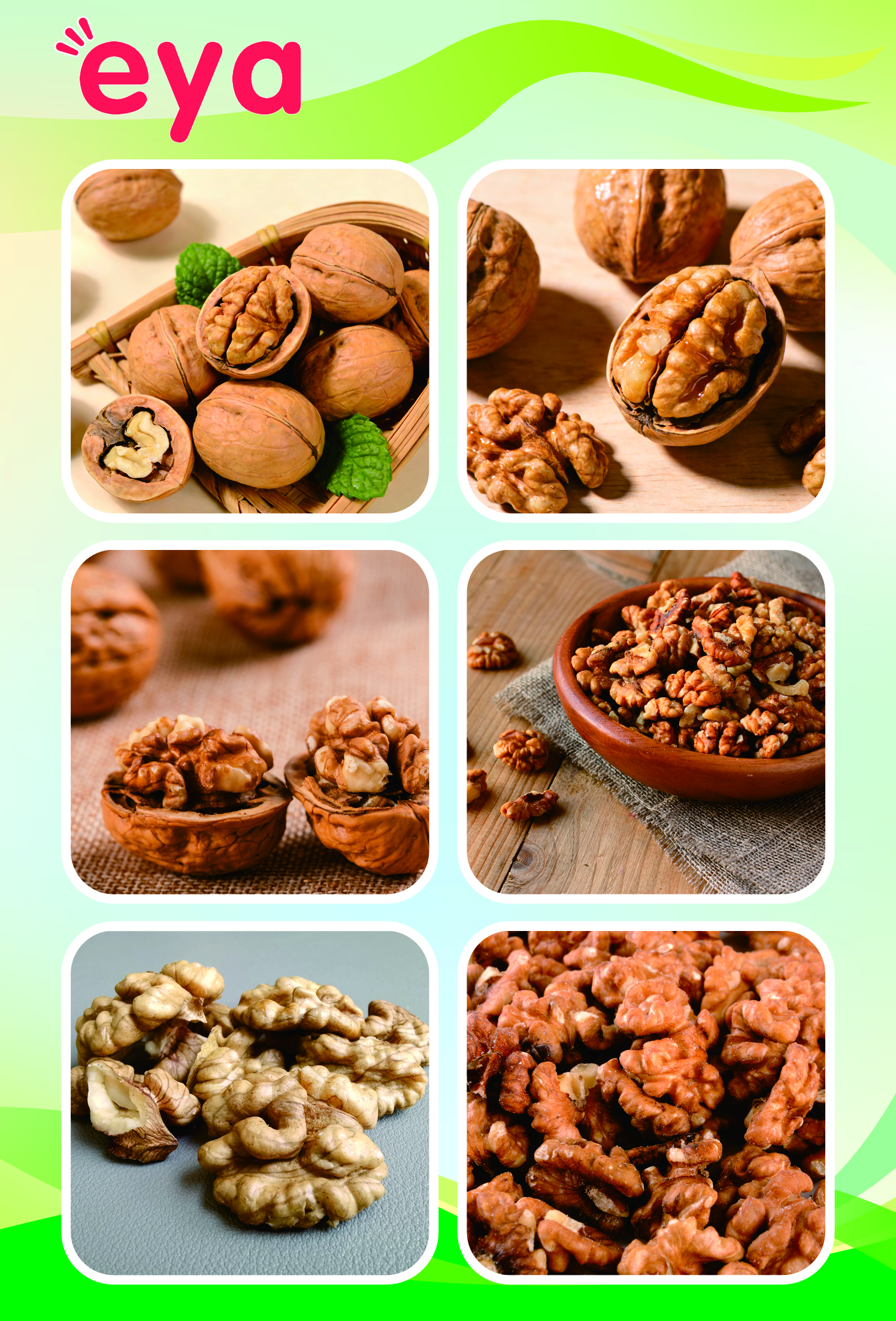Walnut Kernels