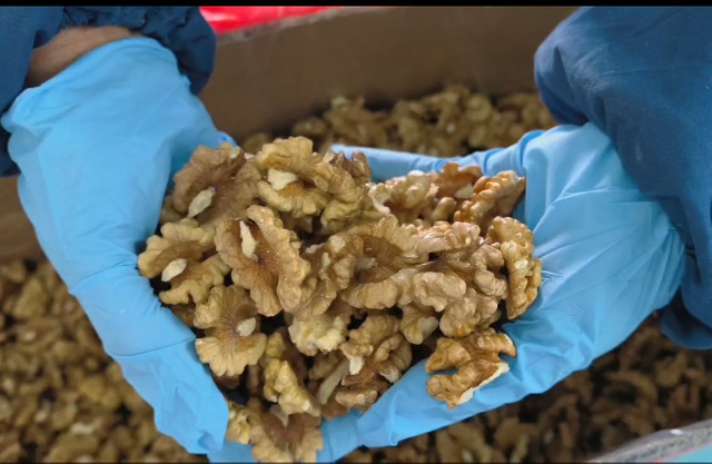 Walnut Kernels