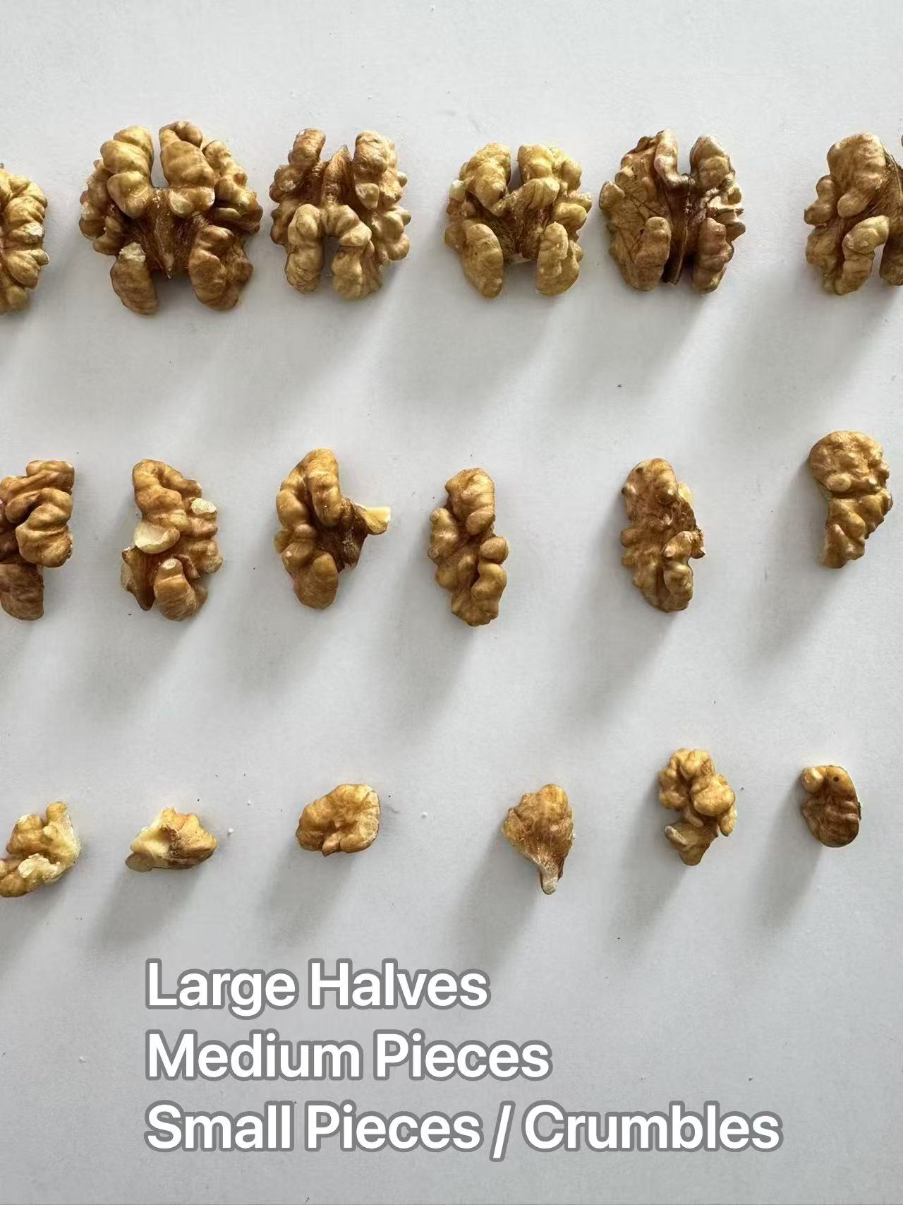 Walnut Kernels